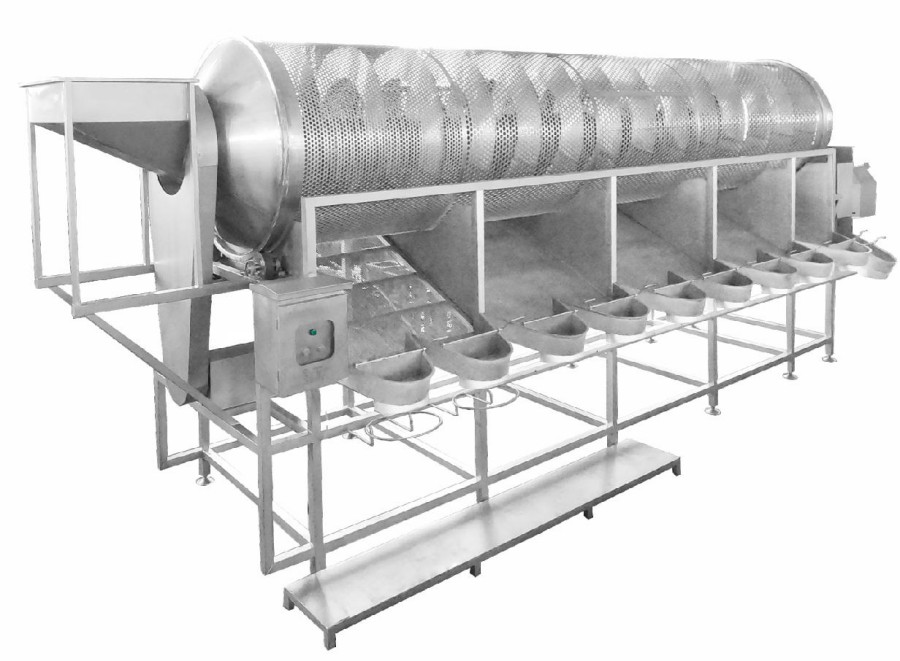 Máquina clasificadora de fresas
