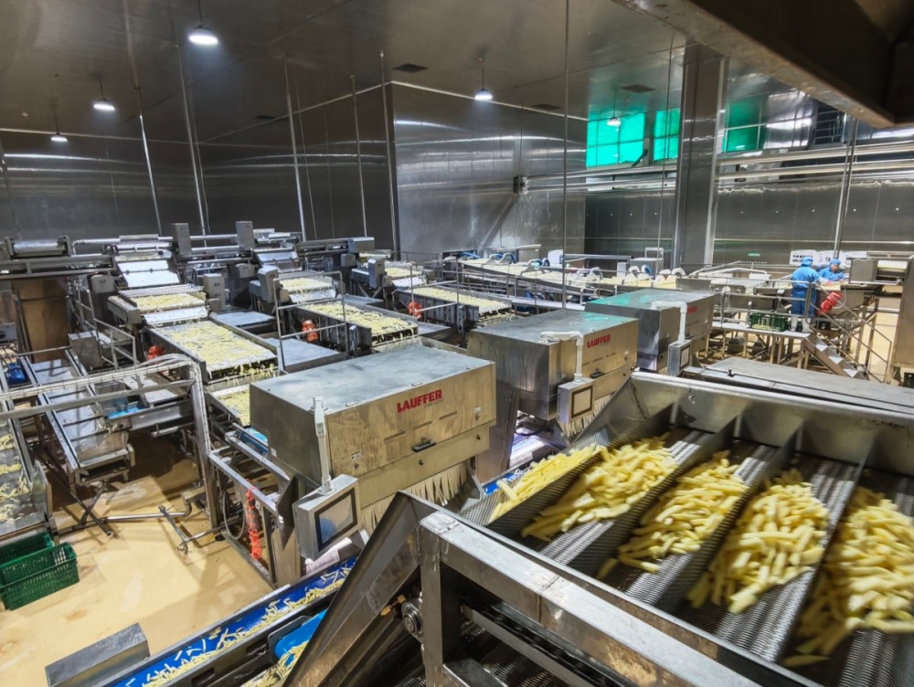 Estudios de casos exitosos de proyectos integrados de papas fritas de Qingdao Shengjia con capacidades de 8T/h y 3T/h.