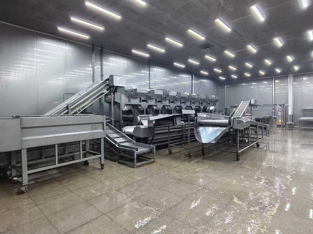 Estudio de caso exitoso del proyecto de línea de producción para el procesamiento de frutas y verduras de Shandong Santao Food