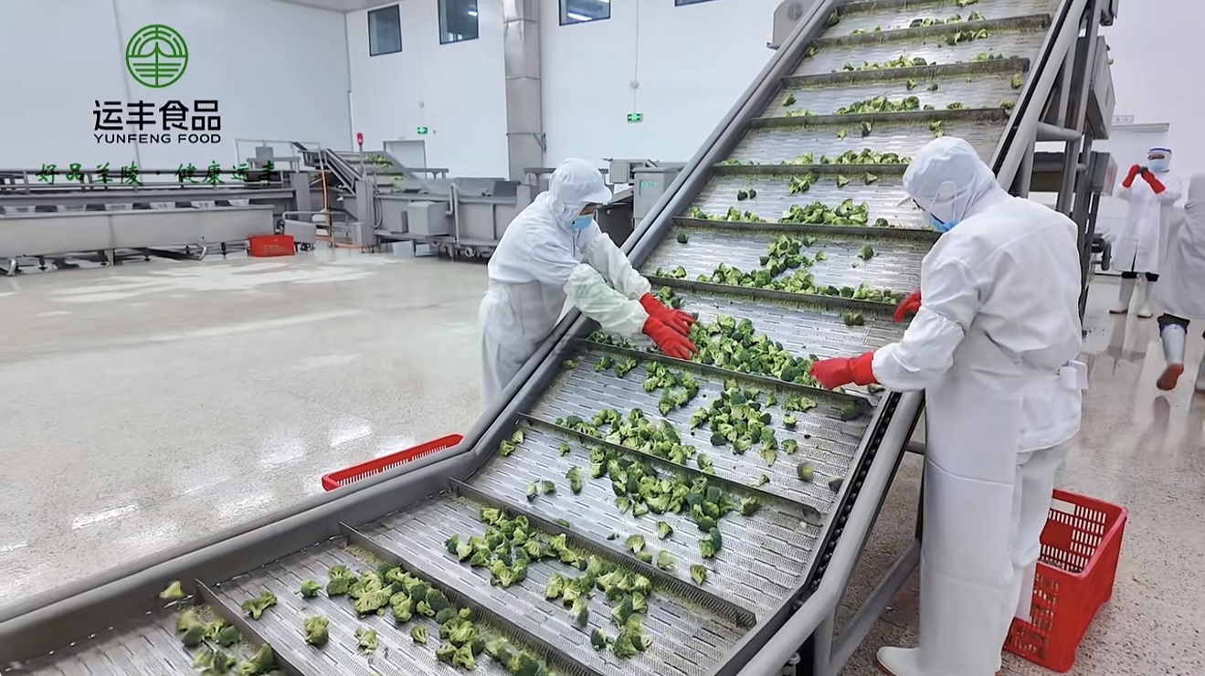 Caso de éxito del proyecto de congelación de verduras de Shandong Yunfeng Food